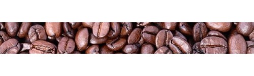 Robusta